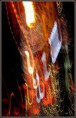 /album/flou-et-reflets/i-9-copie-jpg/